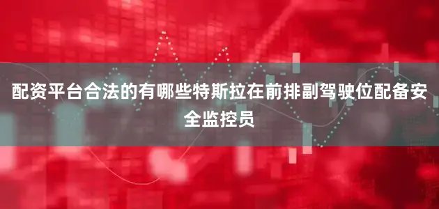 配资平台合法的有哪些特斯拉在前排副驾驶位配备安全监控员
