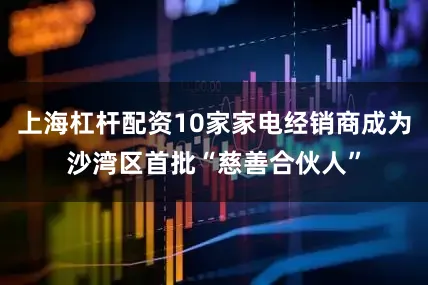 上海杠杆配资10家家电经销商成为沙湾区首批“慈善合伙人”