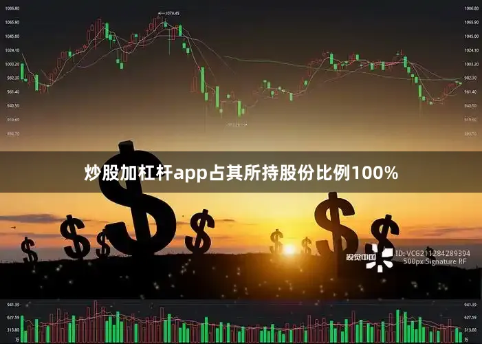 炒股加杠杆app占其所持股份比例100%